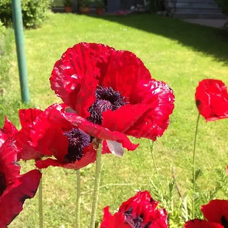 Penzion Gaestehaus Anna