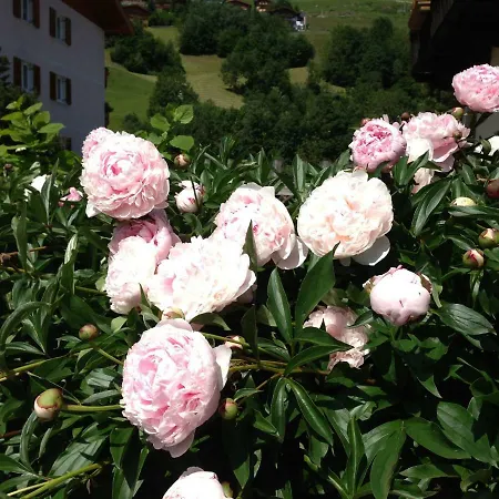 Penzion Gaestehaus Anna 3*