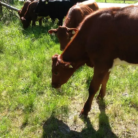 Gaestehaus Anna Pensjonat Grossarl